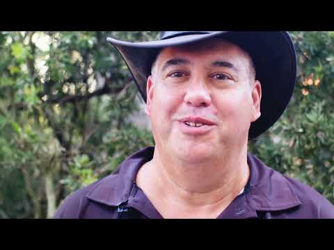 Synod in the Greenfields 2024