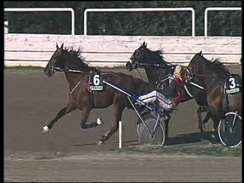 Trotto 19/11/2015 - 1° corsa