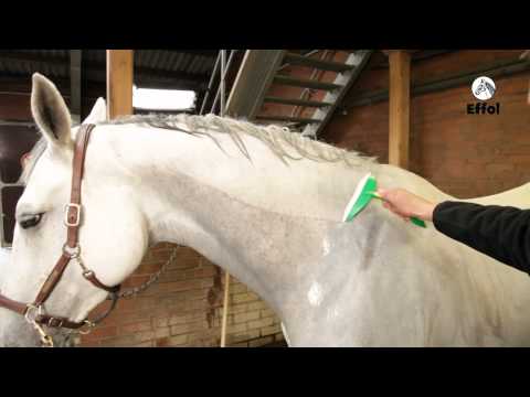 Effol - Freundschaft muß man pflegen. Machst DU mit?