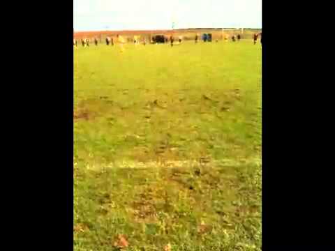 Duns 1-7 Craigroyston