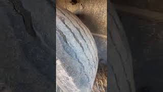 نصف مقطورة ستائر منزلقة Schmitz Cargobull | صورة 4 - Autoline