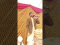Nabeel Qadri