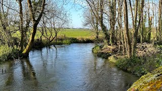 Heart Grounding in Nature – Meditation Monday