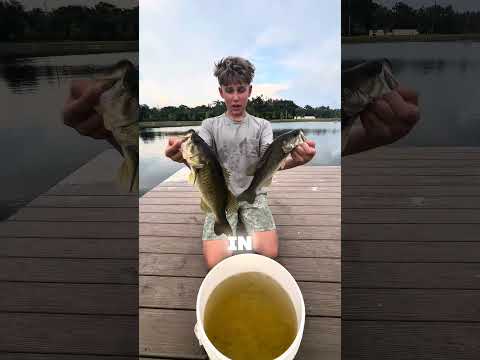 THE REAL DAY 2 of Stocking This pond 😂😁