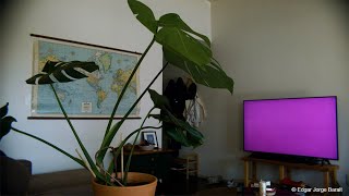 Window | Clip | Berlinale 2021