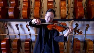 Alessandro Roma 4/4 Violin