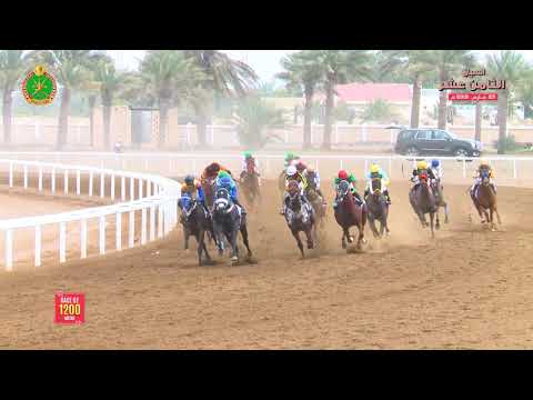 الشوط الثاني - السباق الثامن عشر- الرحبة 23/03/2019 Race 2-18th meeting