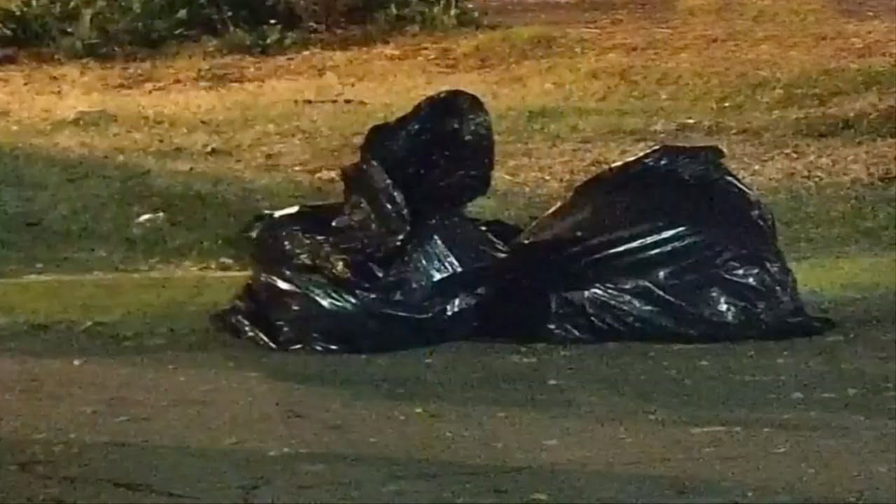 Encuentran restos humanos en bolsas de plástico en la colonia 20 de Noviembre