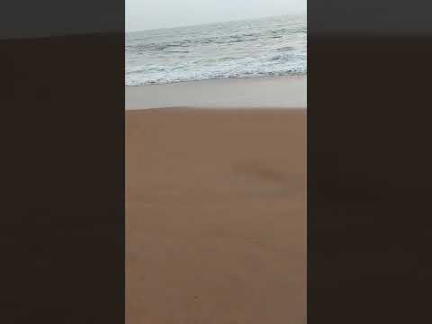 Kerala beach view | Nasar Nature