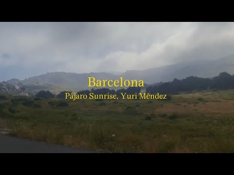 Barcelona- Pajaro Sunrise, Yuri Méndez