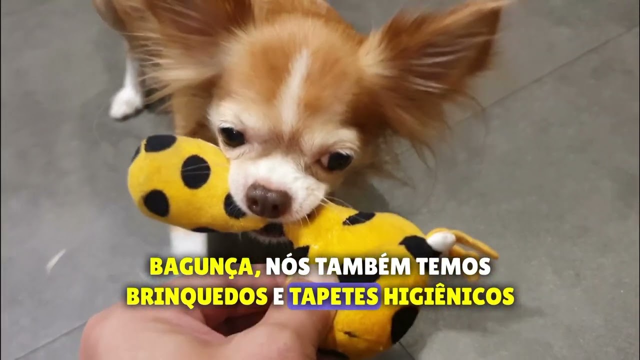 thumbnail video youtube