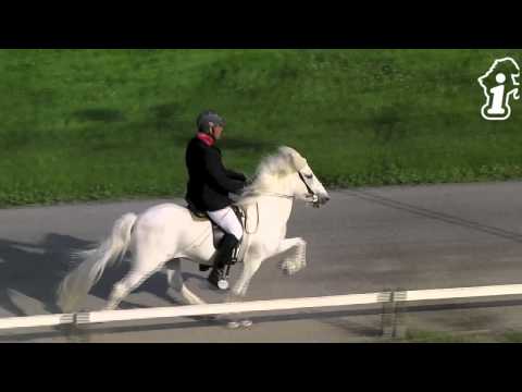 DIM 2013 - T1-VE Uli Reber - www.isibless.de