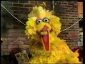 Classic Sesame Street Big Bird S Poem Woodpecker 1972