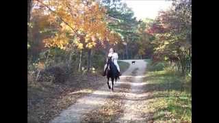 preview picture of video 'Eve's Legacy Gaited Horse & Rider Training (www.eveslegacy.webs.com) -Finesse not Force-TM'