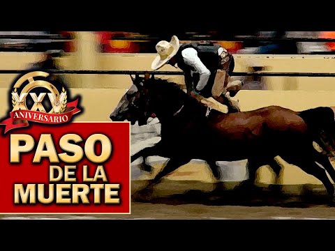 2022 THV Millionaire Championship - Chilling Steps of Death on August 31st