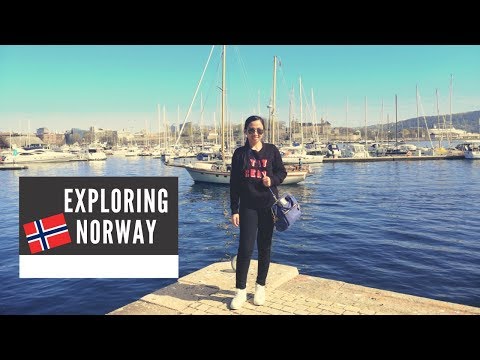 VLOG 63: ROAD TRIP TO NORWAY! (DAY 1)