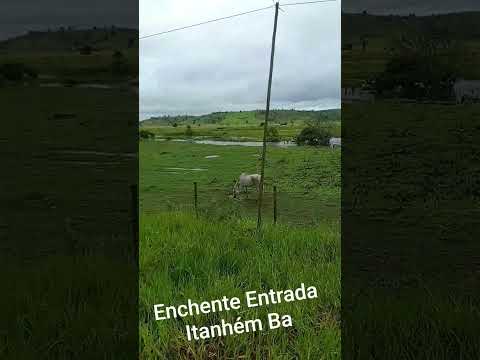Enchente Entrada Itanhém Ba