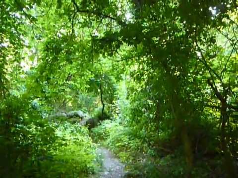 Natural arche & Old shade street
