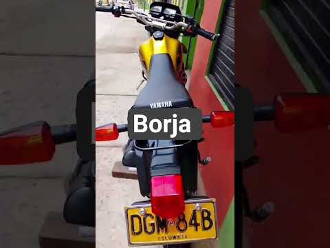 18 de julio de 2026 Borja amortiguadores sandoná nariño