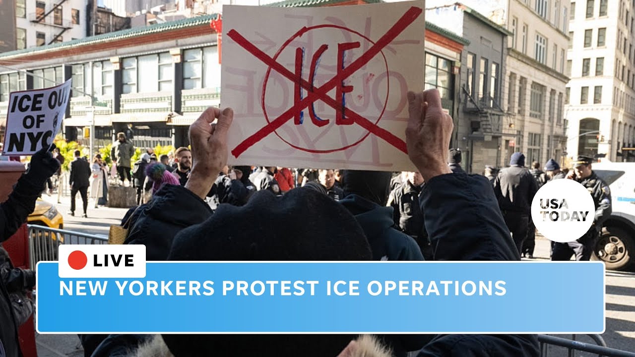 New Yorkers protest ICE operations