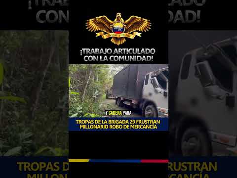 ¡CONTUNDENTE OPERACIÓN EN EL CAUCA! Ejército recupera camión con 1.465 encomiendas