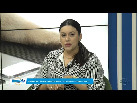 Conheça as doenças endócrinas que podem afetar o seu PET 24 04 2023