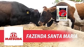 preview picture of video 'Linha Leite (Fazenda Santa Maria)'
