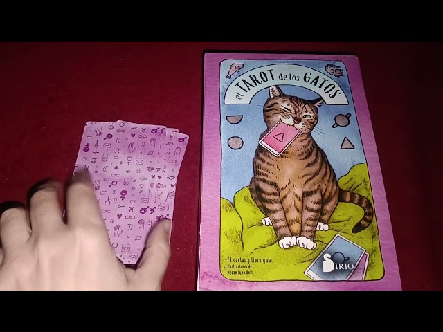 Vídeo relacionado con lankai Baraja Tarot, Tarot Cartas,Cartas del Tarot - Los Gatos Gobiernan La Tierra, Tarot De Aprendizaje, Baraja De 78 Cartas para Amantes De Los Felinos, Juego De Adivinación