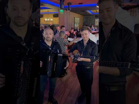 Zorba #dance #live #music #shorts