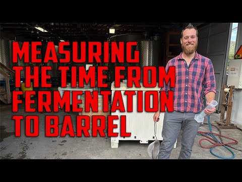 Reds Are Coming In! Time to Check Fermentations and Sugar Levels...