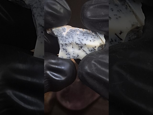 حجر اوبال شجري خام طبيعي تحفة للاقناء او الاهداء