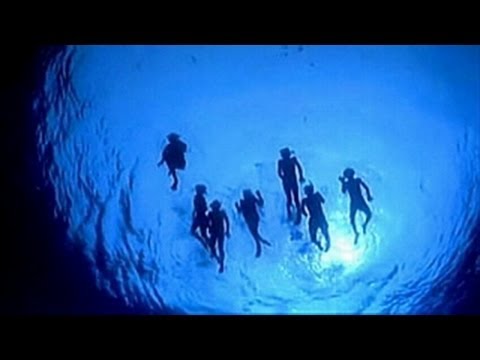 Remix Music VANGELIS ♪ Fields of Coral