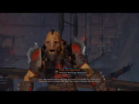 Maybe the problem is me