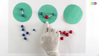 Science | Elements Compounds and Mixtures | Grade 7 - 8