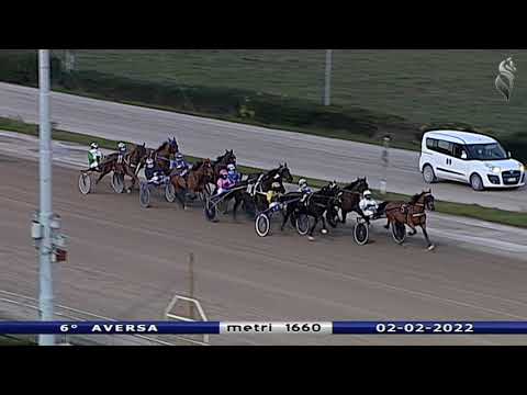 Aversa trotto 2 Febbraio 2022 - 6° Corsa