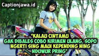 Download lagu KUMPULAN CAPTION QUOTES BAHASA JAWA#3 mp3