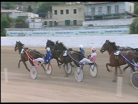 Trotto 13/06/2020 - 7ª corsa