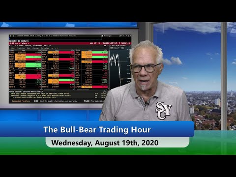 August 19th, Bull-Bear Trading Hour on TFNN - 2020