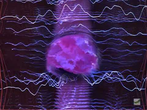 Fady & Mina - Celia [2017]