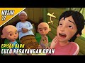 Upin Ipin Musim 17 Cucu Kesayangan Opah Full Episode 2K