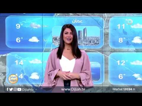 شاهد بالفيديو.. الانواء الجوية وتغيرات الطقس مع فانيتا الزعبي  21- 4- 2019