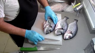 פילוט דגים.. דניס בר....צ'יפורה...הכנת סלטים ואנטיפסטי שלב א