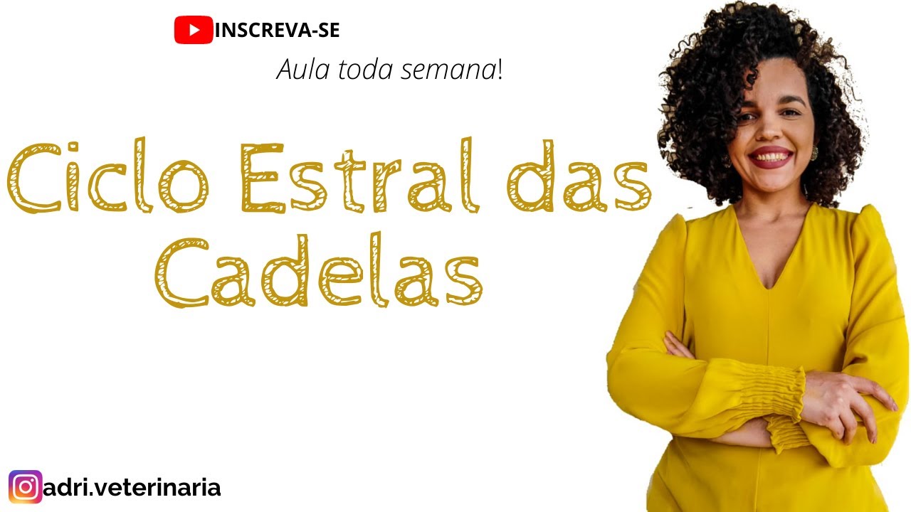 Ciclo Estral das Cadelas