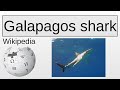Galapagos Shark Wikipedia