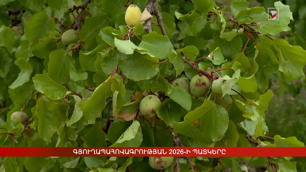 Գյուղապահովագրության 2026-ի պատկերը