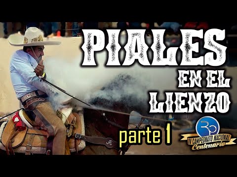 PIALES ON THE CANVAS part 1 - IV Centennial Championship 2020