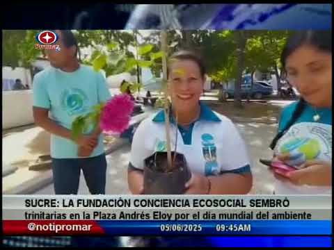 Sucre: Fundación Conciencia Ecosocial sembró Trinitarias en la plaza Andrés Eloy Blanco en Cumaná