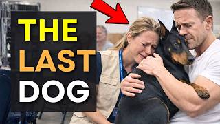 The Shelter’s Most Overlooked Dogs Picked Their People… And It Got Real 😭
