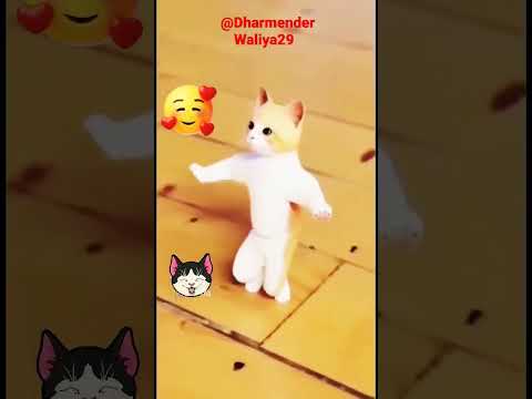 👉Cat🐈vs Dog🐕Dance💃Viral🎯1M | #Dharmenderwaliya29 #viral #ytshorts #tranding #dance #cat#Dog #shorts