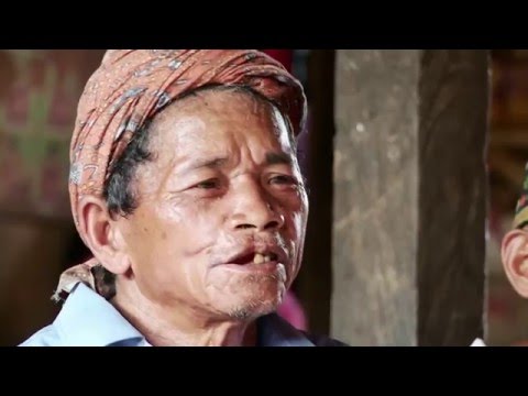 Doctors Go Wild Eps Flores I  PART 1